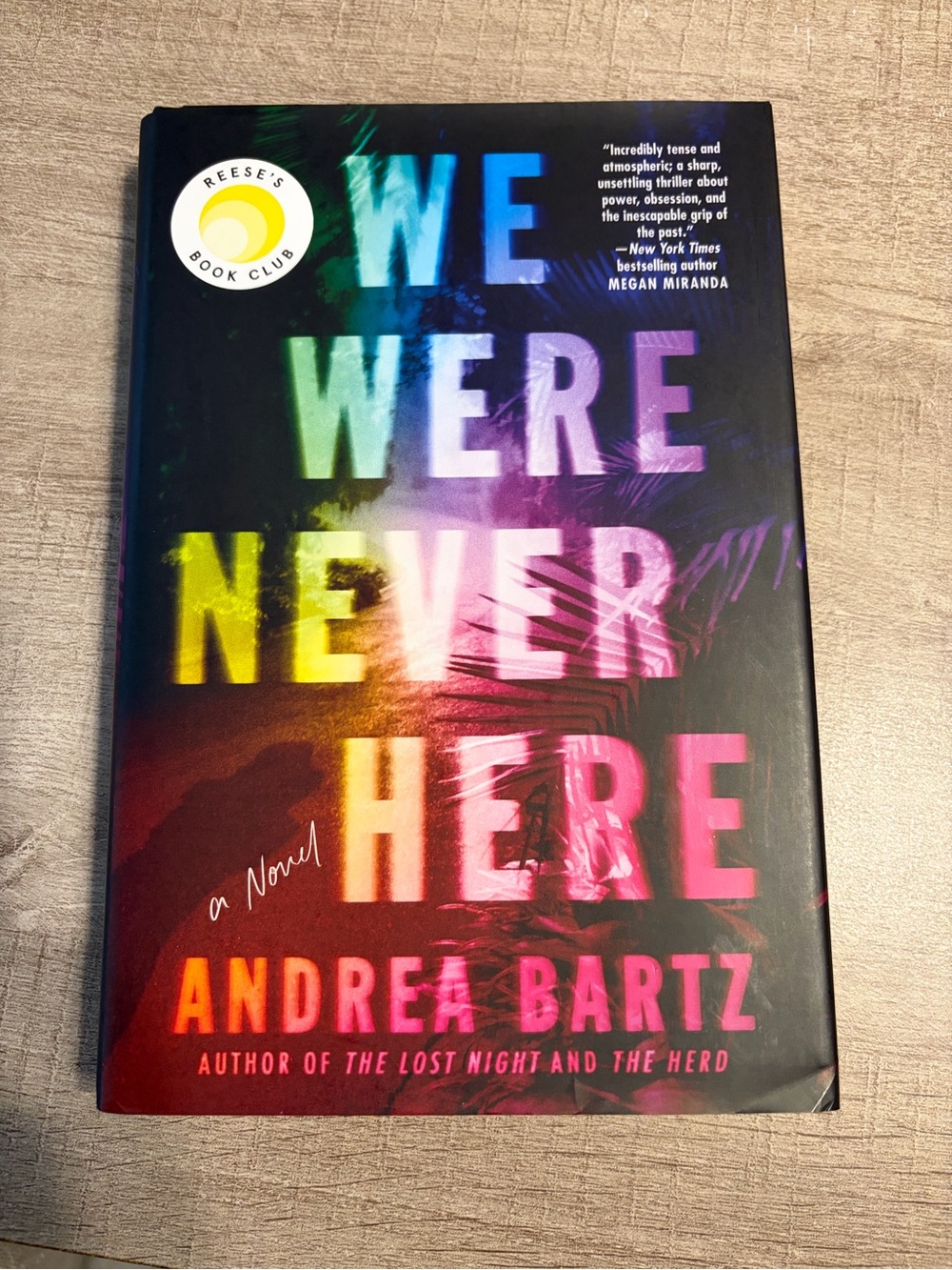 'We Were Never Here' by Andrea Bartz